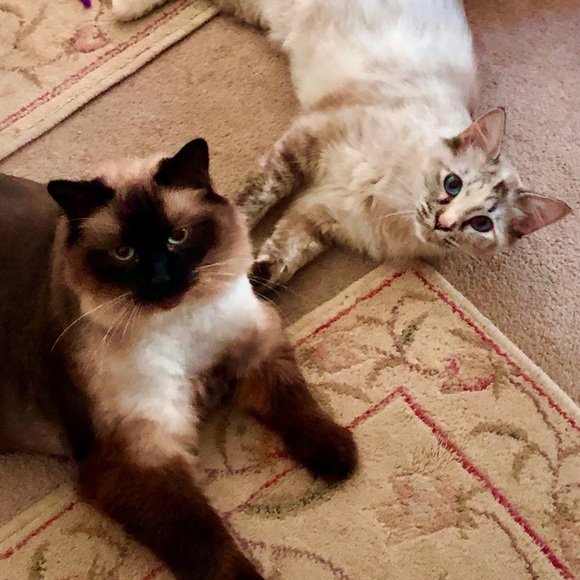 Meet your Posher, April - Picture 2 of 8